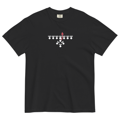 Eagles "Tush Push" Heavyweight Tee
